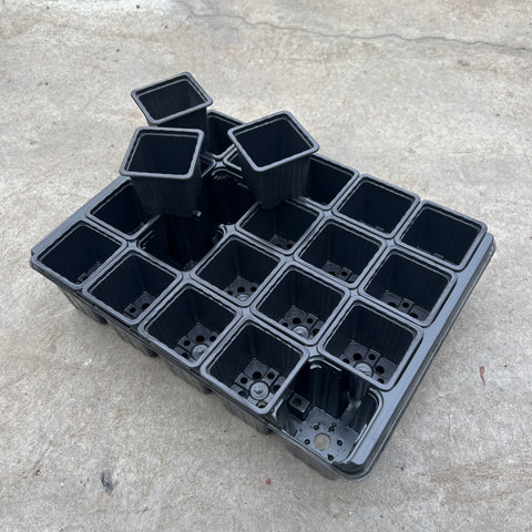 Set of 20 pots with tray for seedlings
