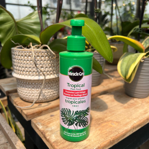 Miracle Gro Tropical Spray Fertilizer