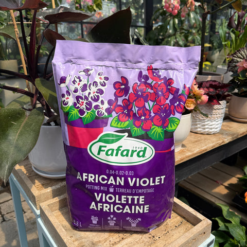Terreau pour Violettes Africaines