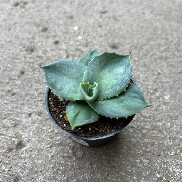 FullSizeRender_c72ed8e3-82d5-