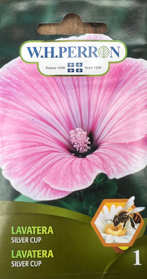 Lavatera Silver Cup Seeds