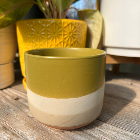 Colorway flowerpot collection 4 inches 