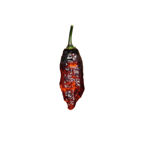 Chili Pepper Hallows Eve