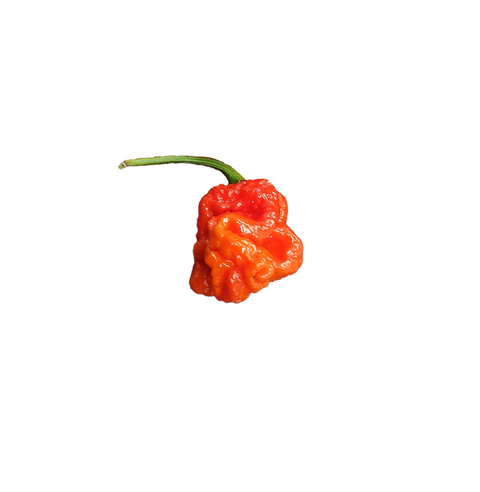 Hurtberry pepper