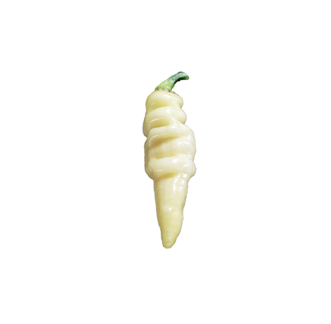 Piment Murupi amarela white