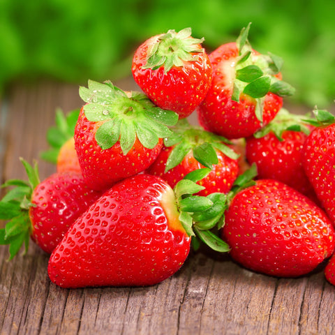 Fraisier 4 saisons