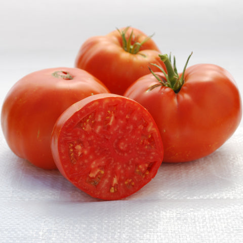 Tomate ancestrale 'Brandywine Rouge'