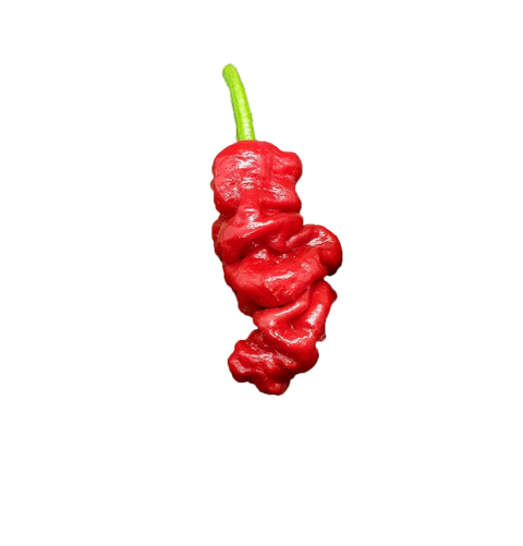 Zou-pi pepper