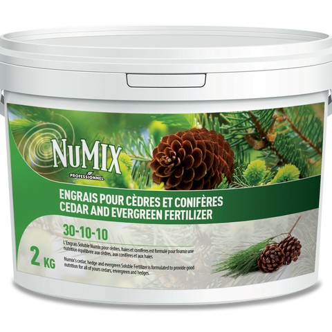 Fertilizer for Cedars and Conifers