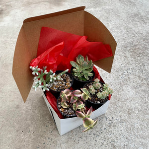 Open image in slideshow, Valentine's Day gift box
