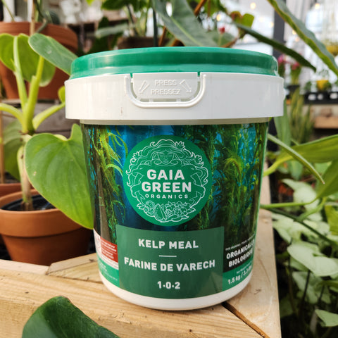 Gaia Green Farine de varech 1-0-2