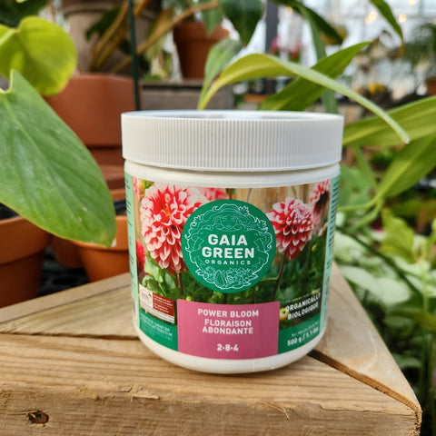 Gaia Green Fertilizer abundant flowering 2-8-4