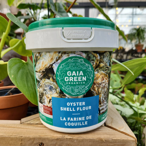 Gaia Green Shell Flour 2-0-0