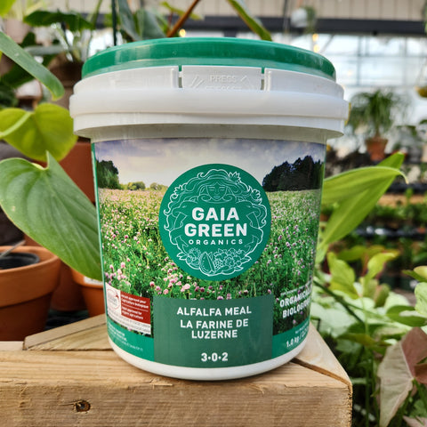 Gaia Green Farine de luzerne 3-0-2