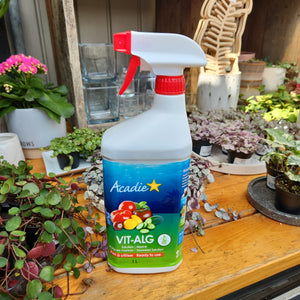 Open image in slideshow, Vit-alg Acadia fertilizer
