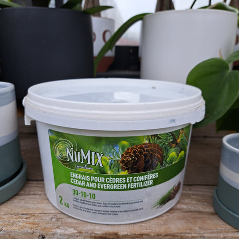 Fertilizer for cedars and conifers Numix