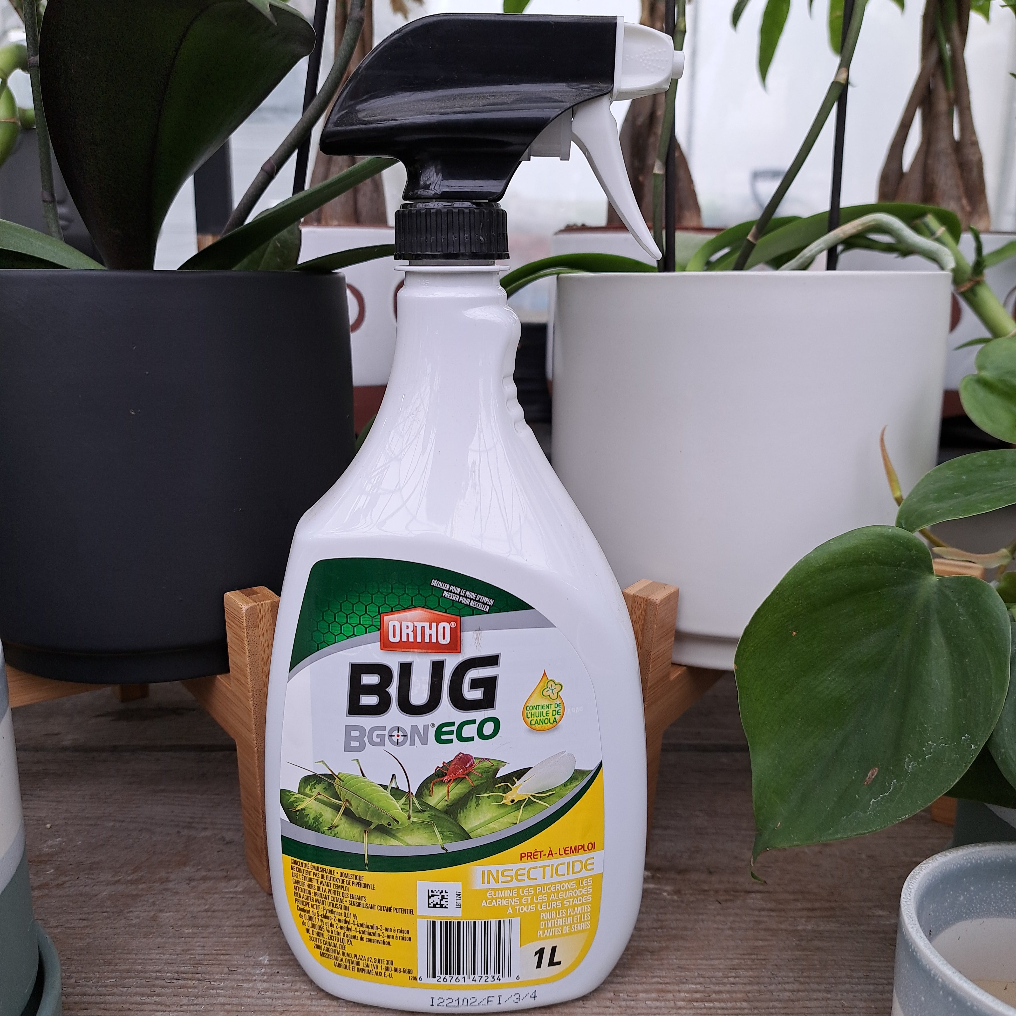 Bug Bgon Eco