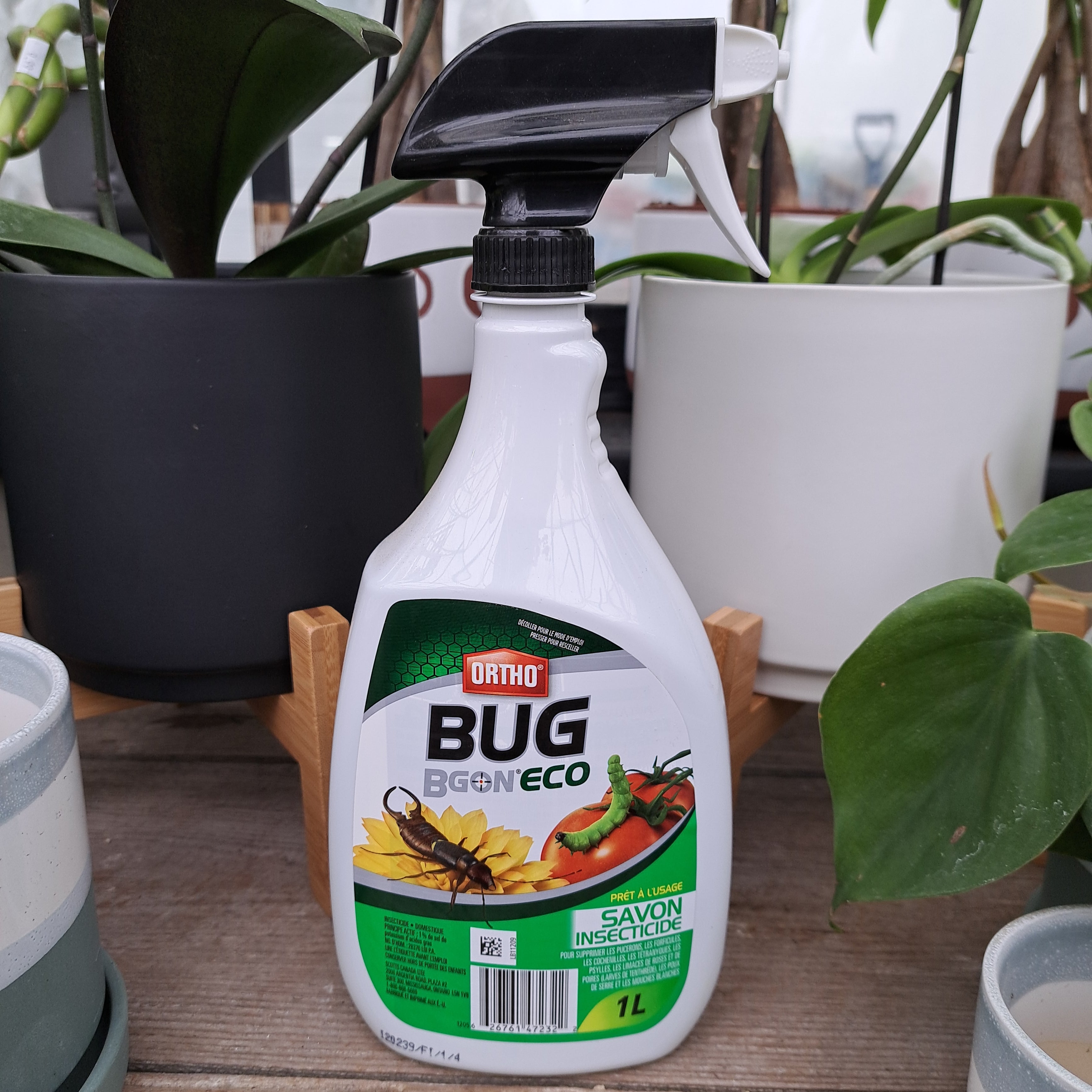 Bug bgon Insecticide Soap