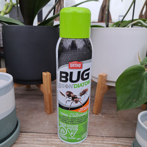 Destructeur multi-insectes Bug Bgon Diatom