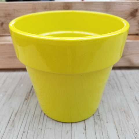 4.5 Inch Green Pot Lime