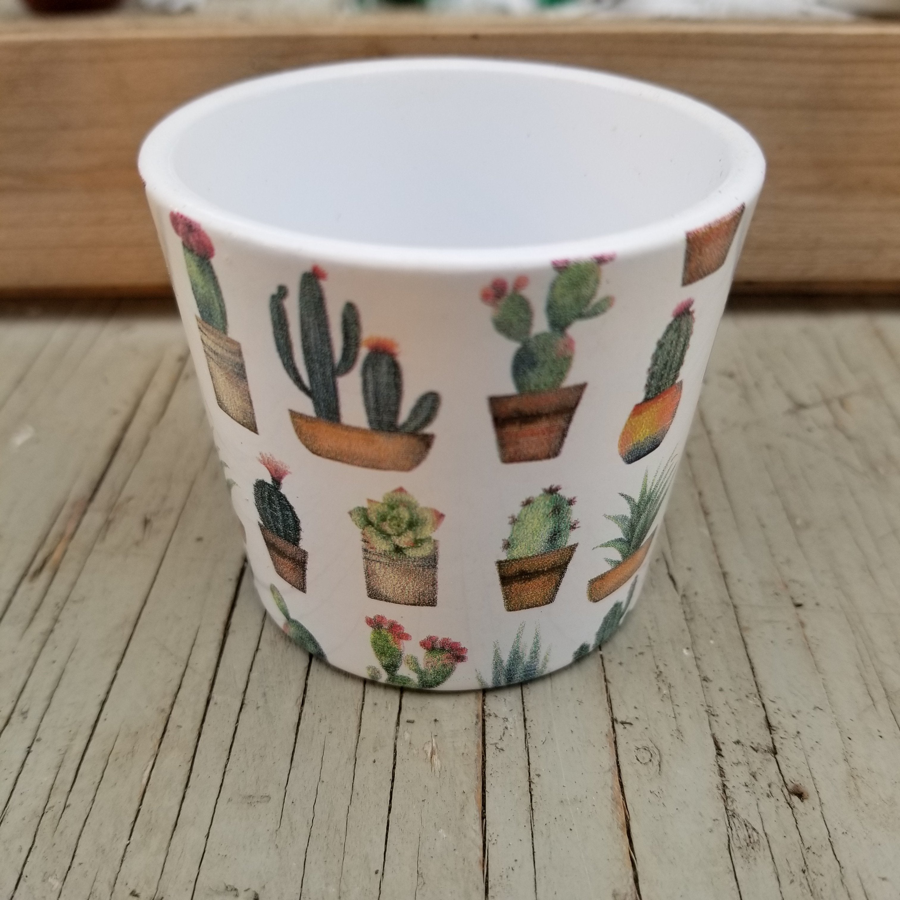 Cactus Pot 2.5 Inches