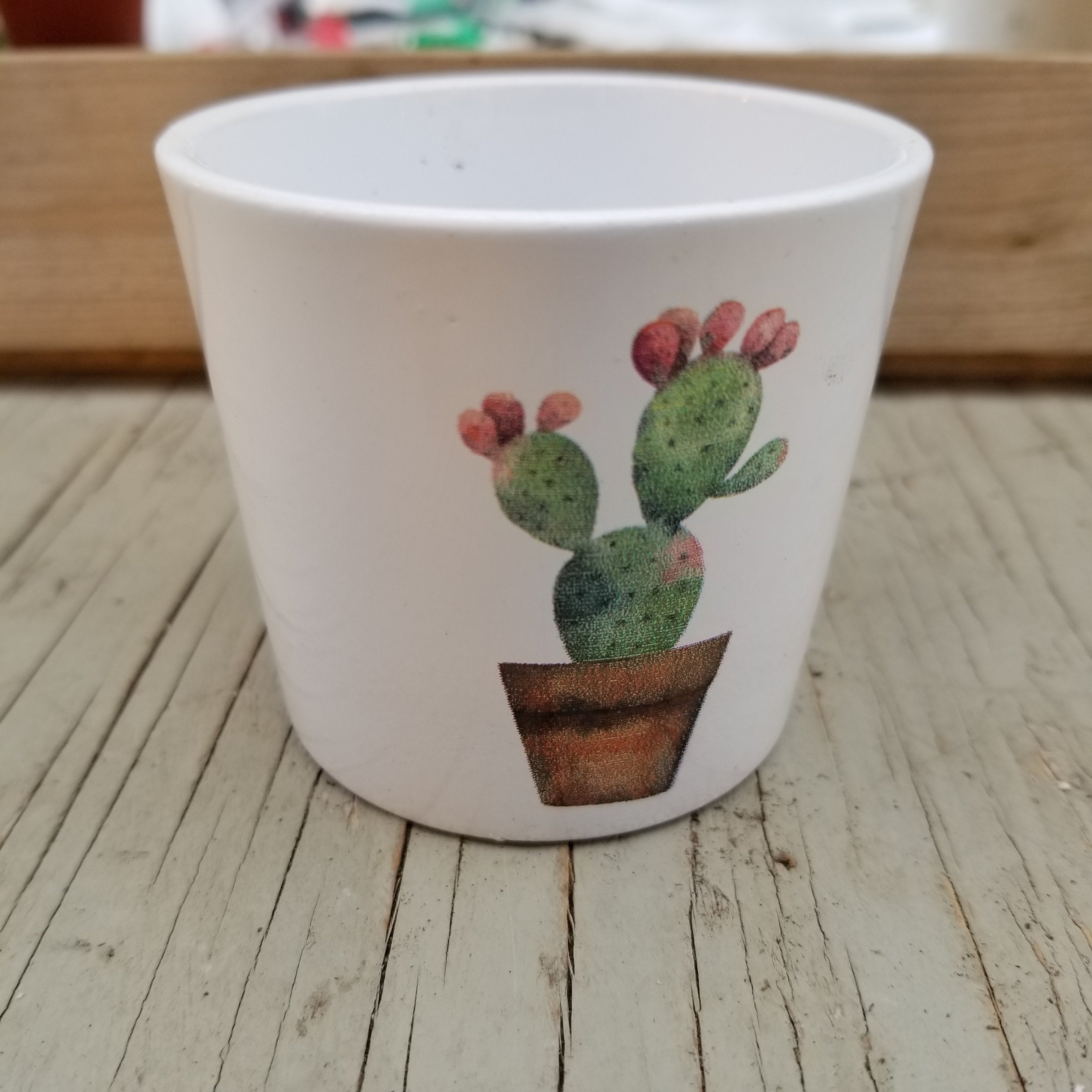 Pot Cactus 2.5 Pouces