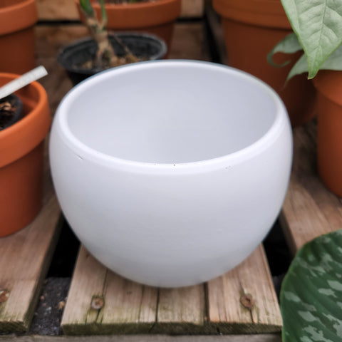 Lisa white plant pot 4.5 inches