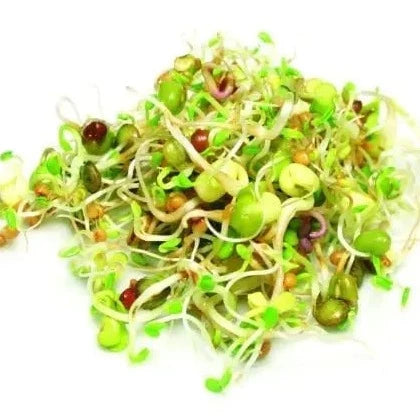 Seeds for germinations Vitality mix
