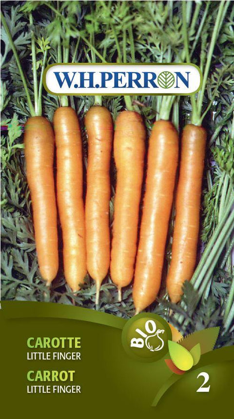 Little Finger Organic Carrot Seedlings