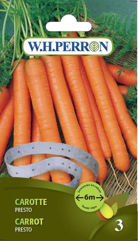 Carrot Seeds Presto Seed