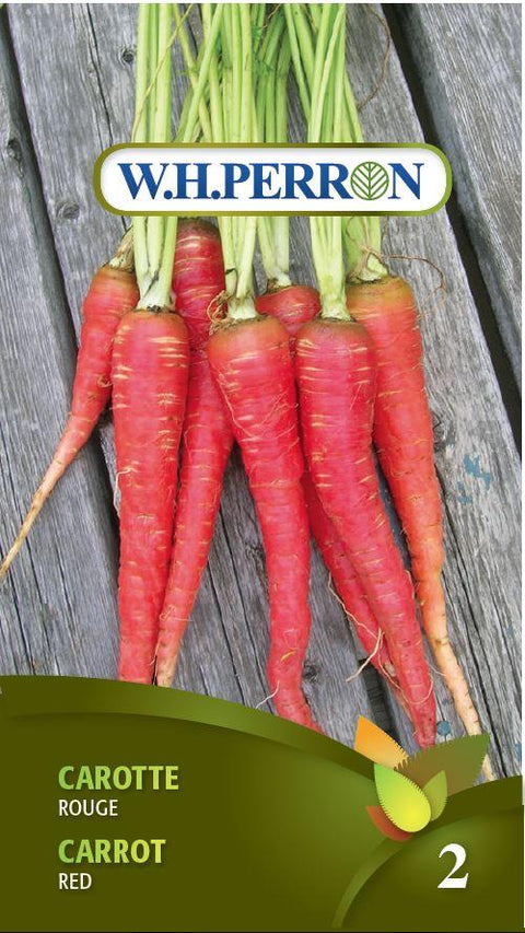 Red Carrot Seeds Seed