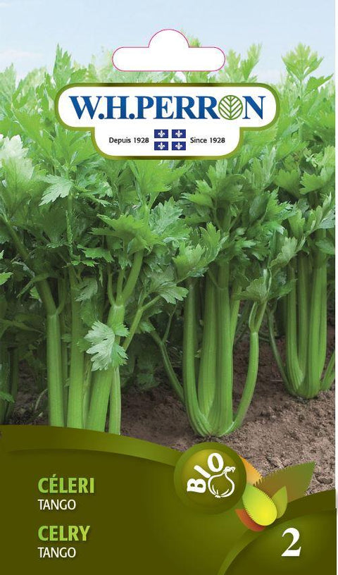 Celery Tango Seeds *organic*