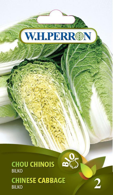 Chinese Cabbage Seed Bilko Organic Seedling
