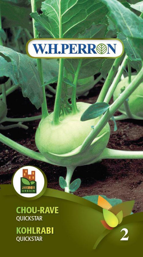 Cabbage Seed Quickstart Urban Seedling