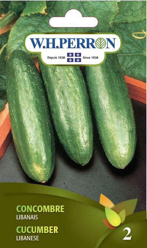 Lebanese Cucumber Seeds
