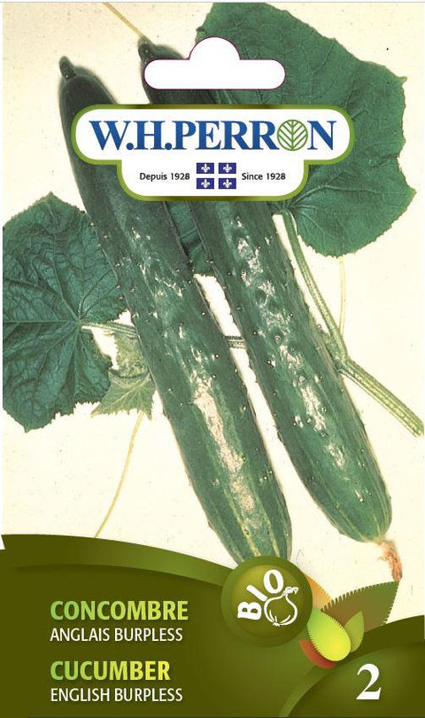 English Cucumber Seed Burpless Bio Seeds