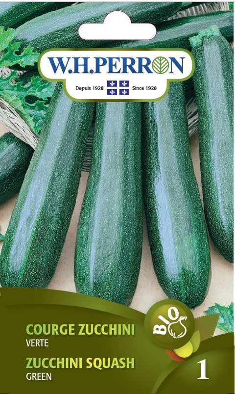 Semences De Courge Zucchini Verte Bio