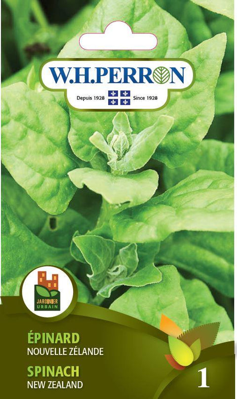 New Zealand Spinach Seed