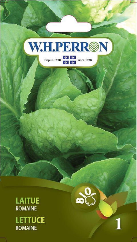 Romaine Lettuce Seeds Organic