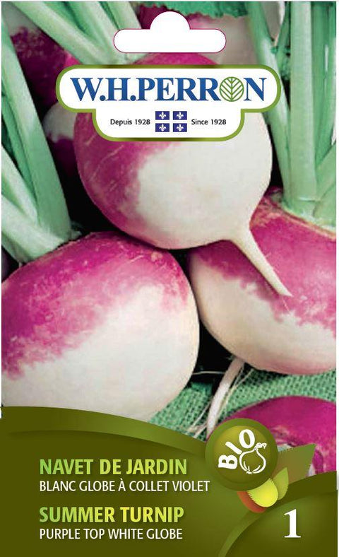 White Garden Turnip Seed White Purple Neck Globe Organic