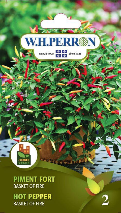 Hot Pepper Seeds Basket Of Fire
