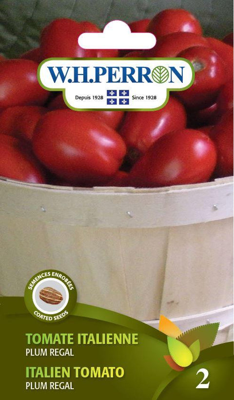 Semences De Tomate Italienne Plum Regal