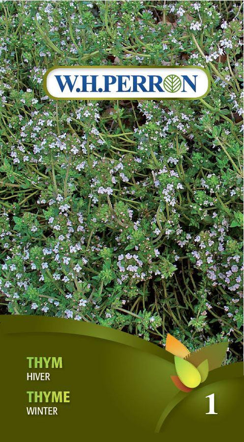 Winter Thyme Seeds