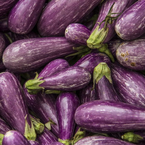 Eggplant Fairy Tail Stretch Vegetables