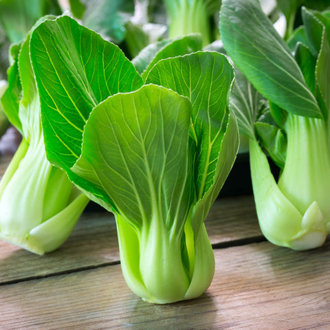 Bok Choy Cabbage Vegetables