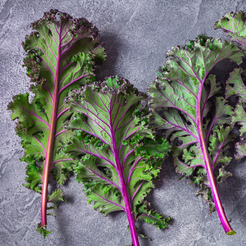 Russian Red Kale Vegetables