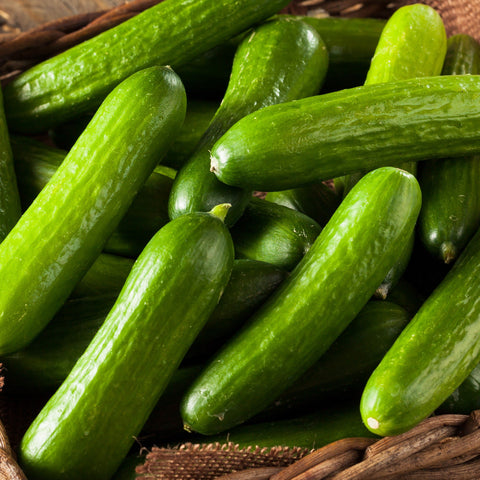 Lebanese cucumber Vegetables