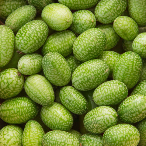 Cucumber Mouse Melon Vegetables