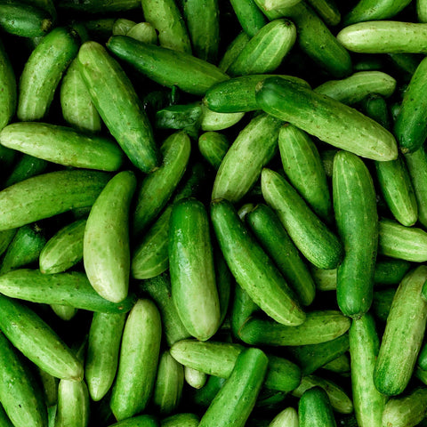 Cucumber Patio Snacker Vegetables