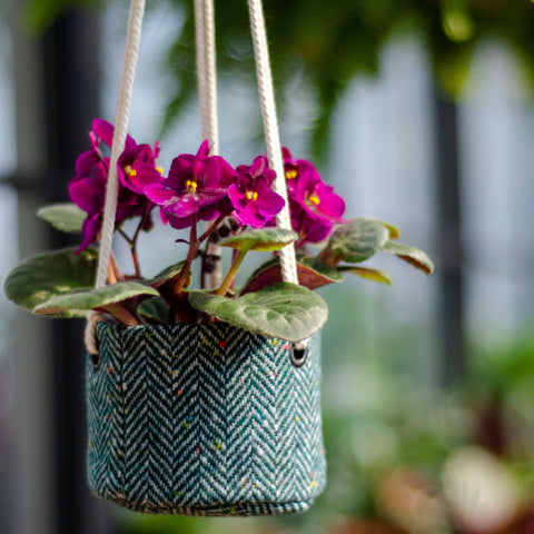 Petit pot fleurs - Jardin & Plantes Petit pot fleurs - Jardin & Plantes